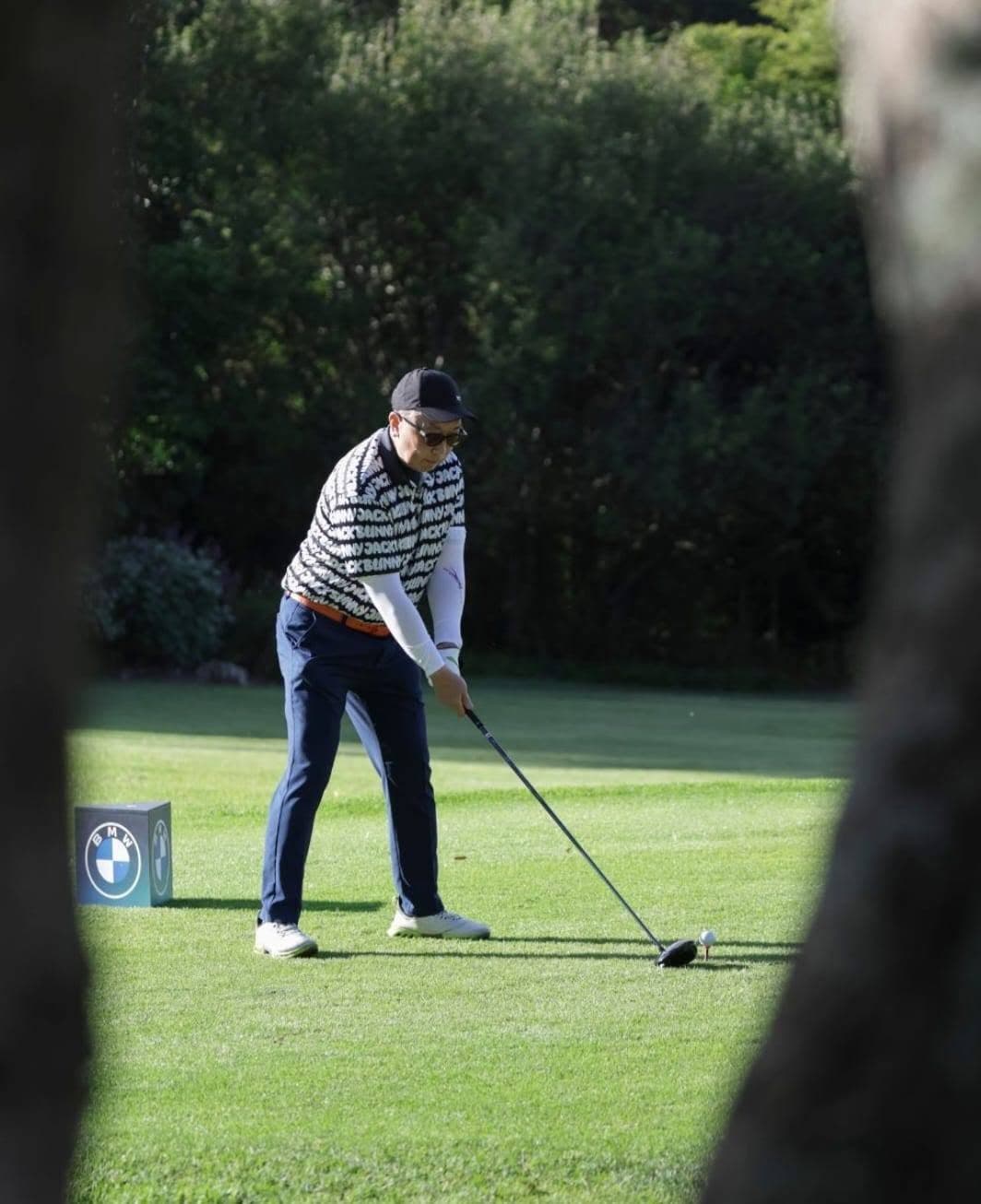 The Golfer visual 1