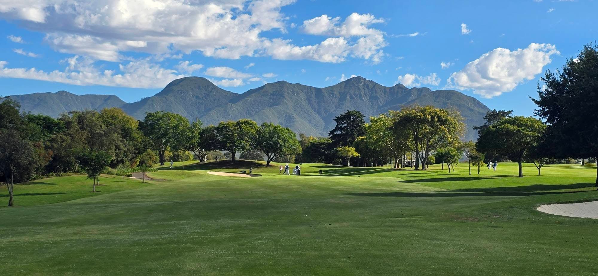 The Golfer visual 18
